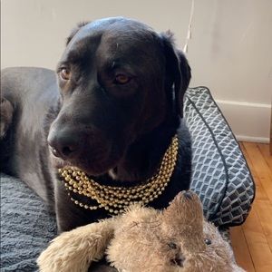 Meet your Posher, Lindsey